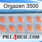 Orgazen 3500 26